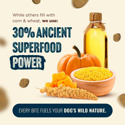 Fresh Salmon Recipe with Collagen Dry Dog Food, 22.5-lb bag