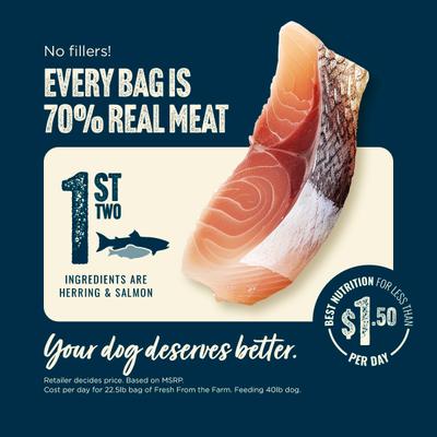 Fresh Salmon Recipe with Collagen Dry Dog Food, 22.5-lb bag