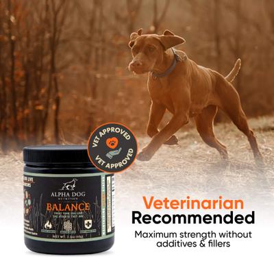 Balance Probiotic Beef Flavor Powder Supplement for Dogs, 2.1-oz jar