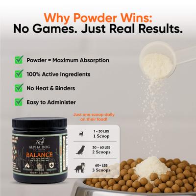 Balance Probiotic Beef Flavor Powder Supplement for Dogs, 2.1-oz jar