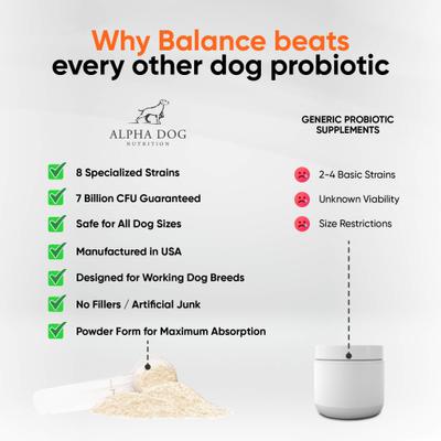 Balance Probiotic Beef Flavor Powder Supplement for Dogs, 2.1-oz jar