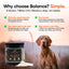 Balance Probiotic Beef Flavor Powder Supplement for Dogs, 2.1-oz jar