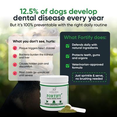 Teeth Cleaning Powder Dental Supplement for Dogs, 4.6-oz jar