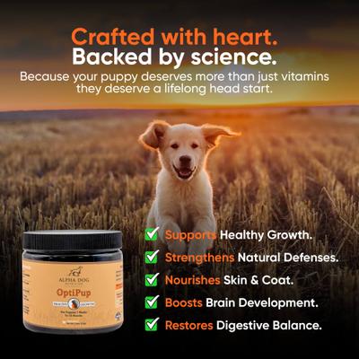 OptiPup All-in-1 Multivitamin Beef Flavor Powder Supplement for Puppies, 5.4-oz jar