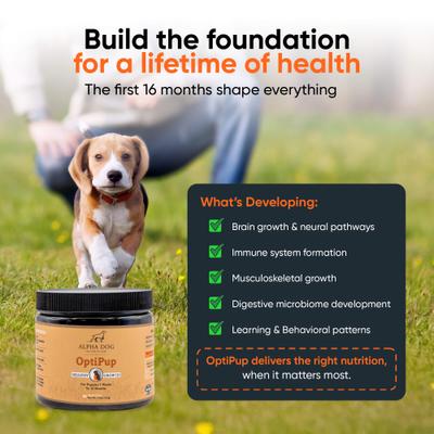 OptiPup All-in-1 Multivitamin Beef Flavor Powder Supplement for Puppies, 5.4-oz jar
