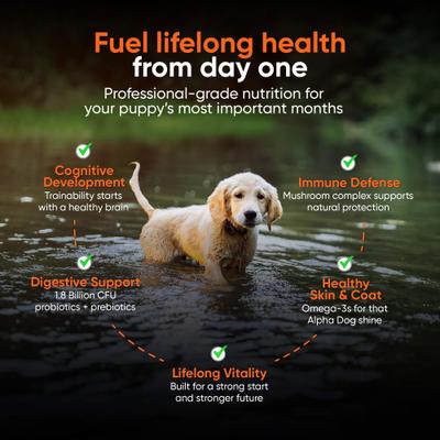 OptiPup All-in-1 Multivitamin Beef Flavor Powder Supplement for Puppies, 5.4-oz jar