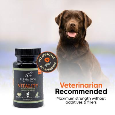 Vitality Krill Oil Supplement for Dogs, 30 count
