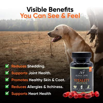 Vitality Krill Oil Supplement for Dogs, 30 count
