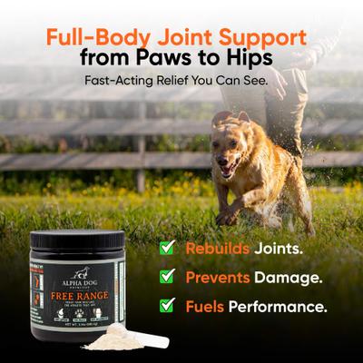 Free Range Joint Health Enhancer Powder Supplement for Dogs, 3.9-oz jar