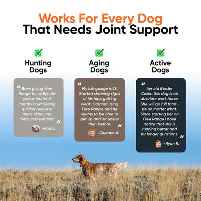 Free Range Joint Health Enhancer Powder Supplement for Dogs, 3.9-oz jar