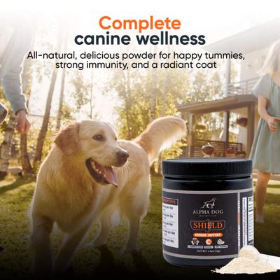 Shield Immune Support Beef Flavor Powder Supplement for Dogs, 1.9-oz jar