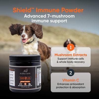 Shield Immune Support Beef Flavor Powder Supplement for Dogs, 1.9-oz jar