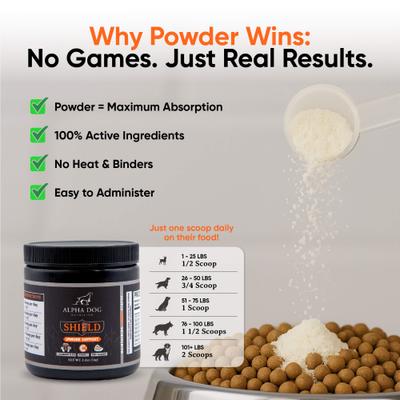 Shield Immune Support Beef Flavor Powder Supplement for Dogs, 1.9-oz jar