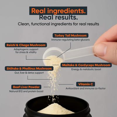 Shield Immune Support Beef Flavor Powder Supplement for Dogs, 1.9-oz jar