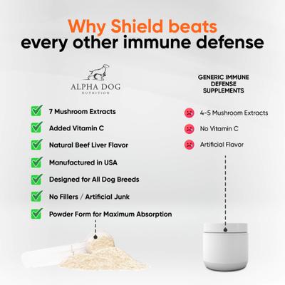 Shield Immune Support Beef Flavor Powder Supplement for Dogs, 1.9-oz jar