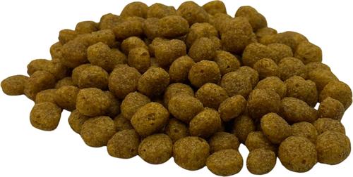 Chewka Real Meat Bacon Flavor Training Bites Dog Treats, 10-oz bag