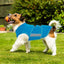 Anxiety Relief Dog Coat, Blue, X-Large