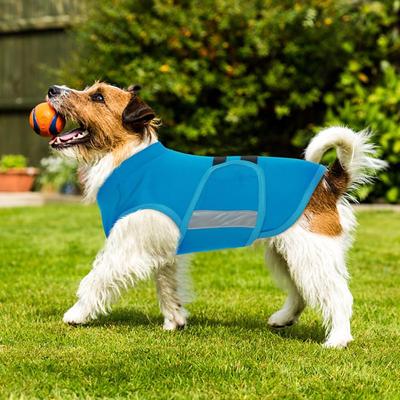 Anxiety Relief Dog Coat, Blue, X-Large