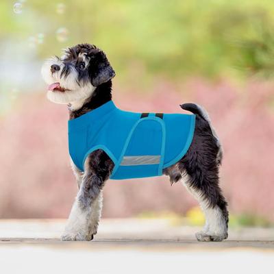 Anxiety Relief Dog Coat, Blue, X-Large
