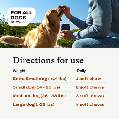 Pork Flavored Soft Chew Skin & Coat Supplement for Dogs, 30 count
