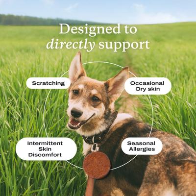 Itch Relief Chew Pro Salmon Flavored Soft Chew Skin & Allergy Supplement for Dogs, 30 count, 30 count, bundle of 2