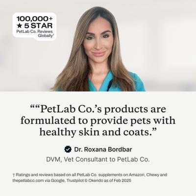 Itch Relief Chew Pro Salmon Flavored Soft Chew Skin & Allergy Supplement for Dogs, 30 count, 30 count, bundle of 2