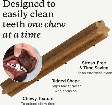 Prebiotic Dental Sticks Dog Dental Chews, 6 count