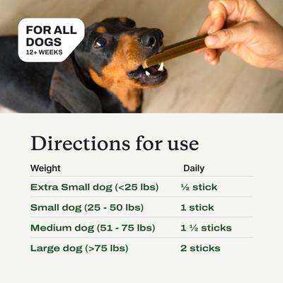 Prebiotic Dental Sticks Dog Dental Chews, 6 count