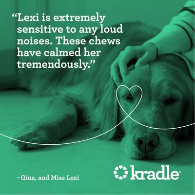 Daily Calming Beef Liver Flavored Soft Chew Broad Spectrum Hemp Extract Calming Supplement for Dogs, 90 count, bundle of 3