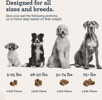 Daily Calming Chicken Flavored Soft Chew Broad Spectrum Hemp Extract Calming Supplement for Dogs, 90 count, bundle of 3