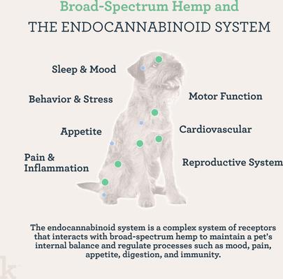 Daily Calming Chicken Flavored Soft Chew Broad Spectrum Hemp Extract Calming Supplement for Dogs, 90 count, bundle of 3