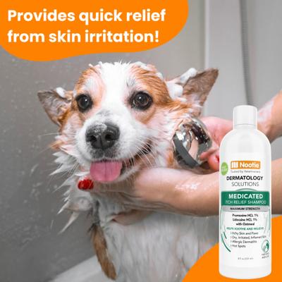 Medicated Itch Relief Shampoo for Dogs & Cats, 8-fl oz bottle