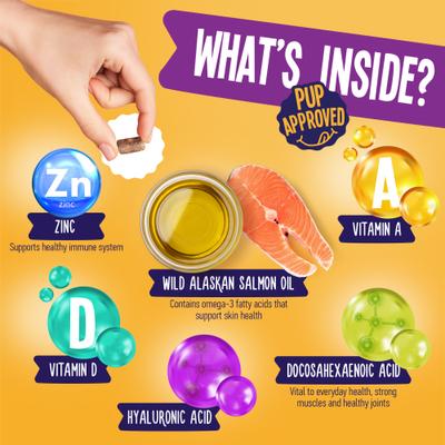 Skin & Coat Beef Flavored Skin & Coat Supplement for Dogs, 120 count