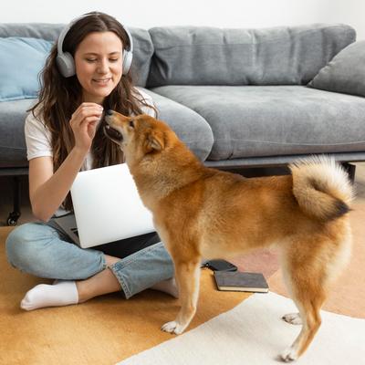 Breath Aid Chicken Flavored Dental Supplement for Dogs, 120 count