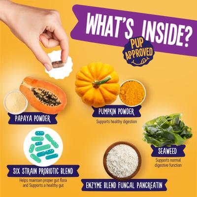 Probiotic Beef Flavored Supplement for Dogs, 120 count