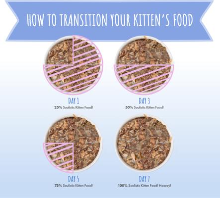 Kitten Kindred Kittens Variety Pack Wet Cat Food, 3-oz can, case of 12