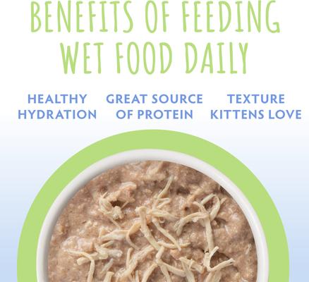 Kitten Chicken Formula in Au Jus Wet Cat Food, 3-oz can, case of 12