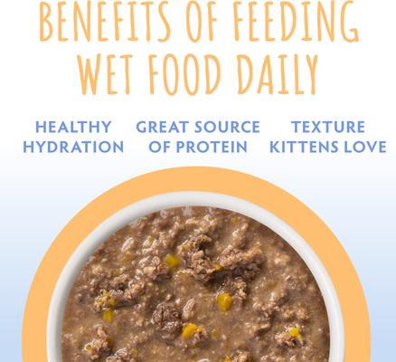 Kitten Chicken & Pumpkin Formula in Gravy Wet Cat Food, 3-oz can, case of 12