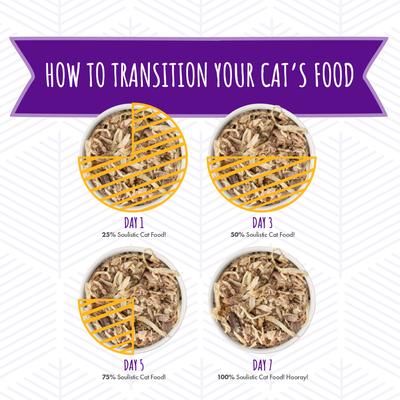 Originals Harvest Sunrise Chicken & Pumpkin Dinner in Gravy Wet Cat Food, 3-oz can, case of 12