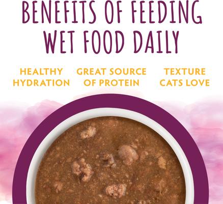 Moist & Tender Mystic Menu Variety Pack Wet Cat Food, 3-oz can, case of 12