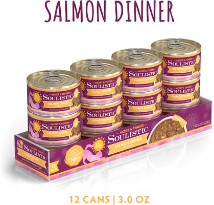 Moist & Tender Salmon Dinner in Gravy Wet Cat Food, 3-oz can, case of 12