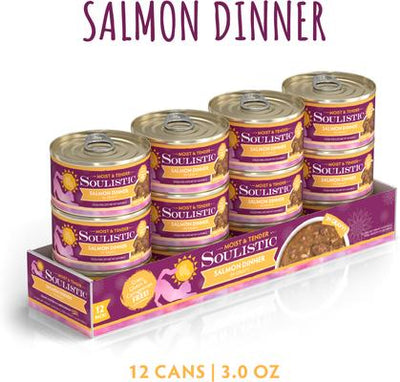 Moist & Tender Salmon Dinner in Gravy Wet Cat Food, 3-oz can, case of 12