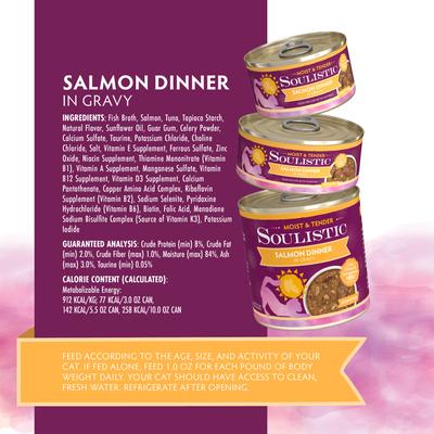 Moist & Tender Salmon Dinner in Gravy Wet Cat Food, 3-oz can, case of 12