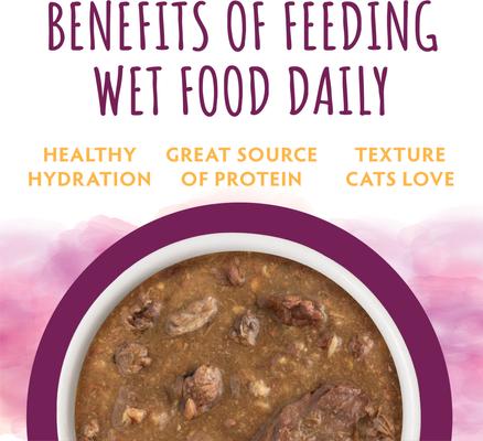 Moist & Tender Salmon Dinner in Gravy Wet Cat Food, 3-oz can, case of 12