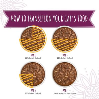 Moist & Tender Mystic Menu Variety Pack Wet Cat Food, 3-oz can, case of 12