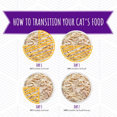 Originals Luna Tuna Tuna Dinner in Pumpkin Soup Wet Cat Food, 3-oz pouch, case of 8