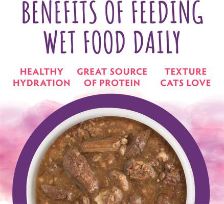 Moist & Tender Tuna & Duck Dinner in Gravy Wet Cat Food, 3-oz pouch, case of 8