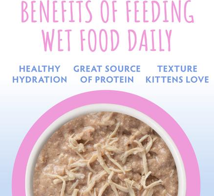 Kitten Kindred Kittens Variety Pack Wet Cat Food, 3-oz can, case of 12