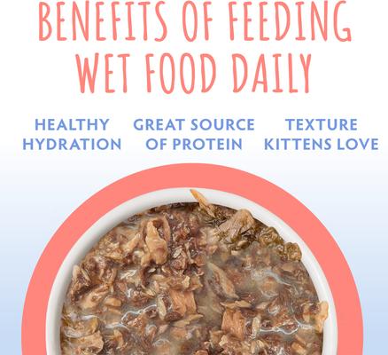 Kitten Tuna Formula in Gravy Wet Cat Food, 3-oz can, case of 12