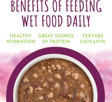 Moist & Tender Lamb Dinner in Gravy Wet Cat Food, 5.5-oz can, case of 8